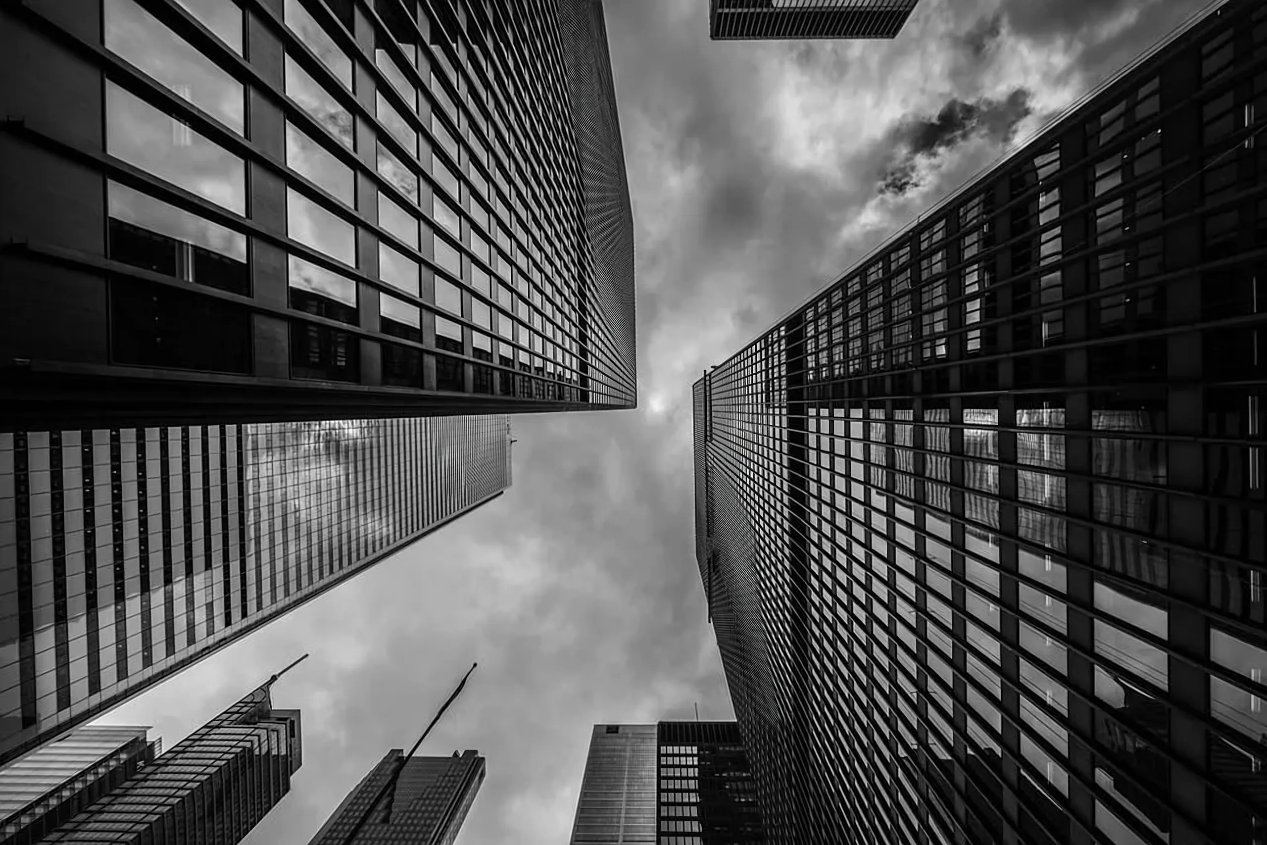 Edificios de oficinas vistos desde abajo, en blanco y negro