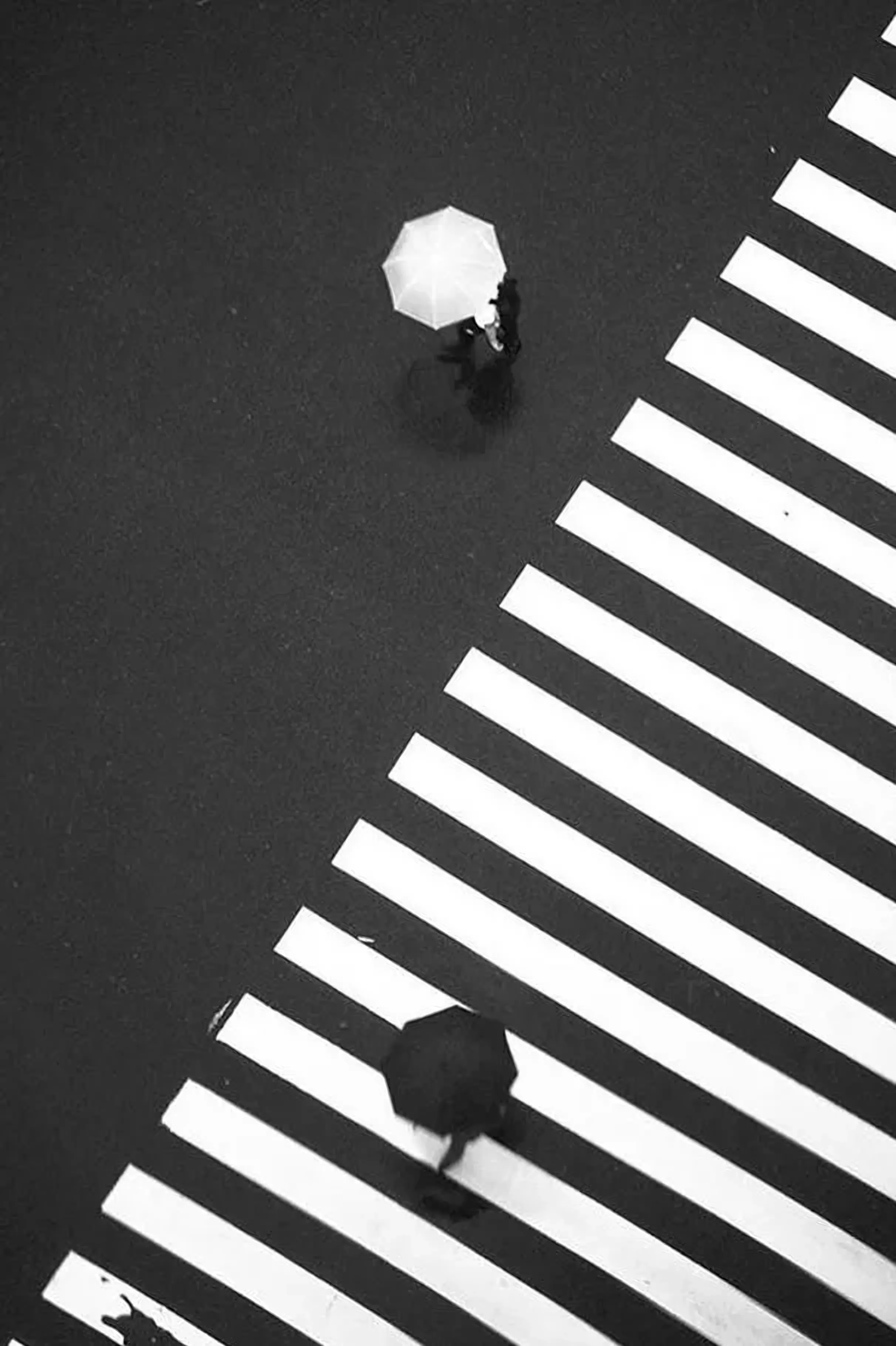 Personas con paraguas en la calle, en blanco y negro
